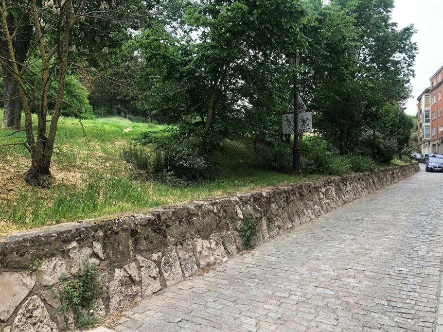 Vivienda De Uso Turistico En El Corazon De Burgos Apartment Екстериор снимка